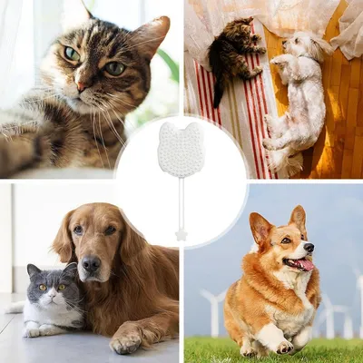 Zoomtopia Brosse de bain en silicone pour chien