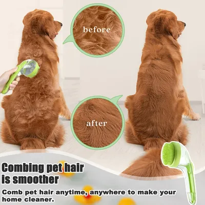 Pawzy Brosse lavage tout-en-un pour chien/chat