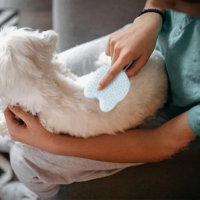 Zoomtopia Brosse de bain en silicone pour chien