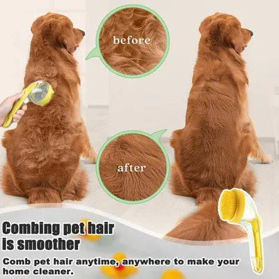 Pawzy Brosse lavage tout-en-un pour chien/chat