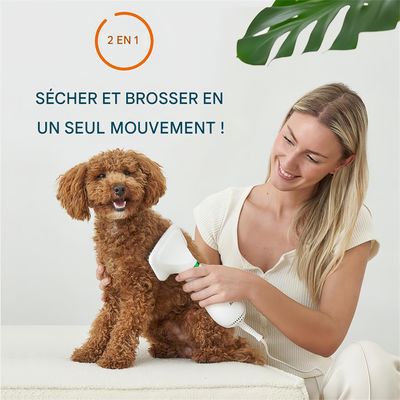 Pawzy Peigne à air chaud pour animaux de compagnie