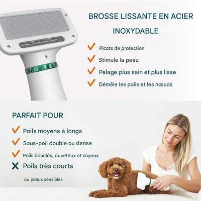 Pawzy Peigne à air chaud pour animaux de compagnie