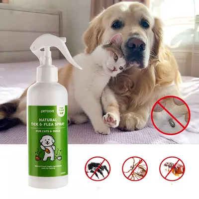 FurryFusion Spray anti-puces pour chien et chat 300ml