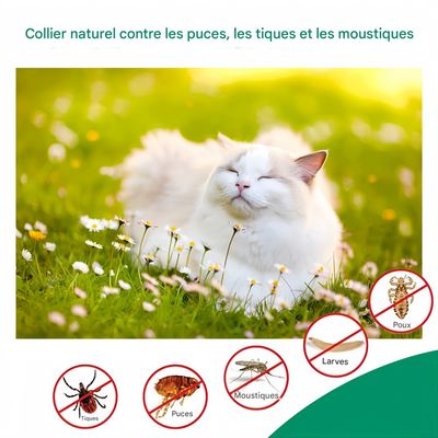 FurryFusion Spray anti-puces pour chien et chat 300ml