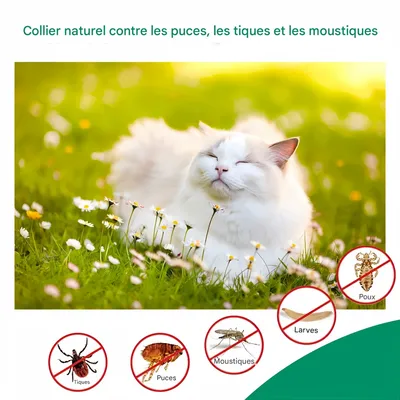 FurryFusion Spray anti-puces pour chien et chat 300ml