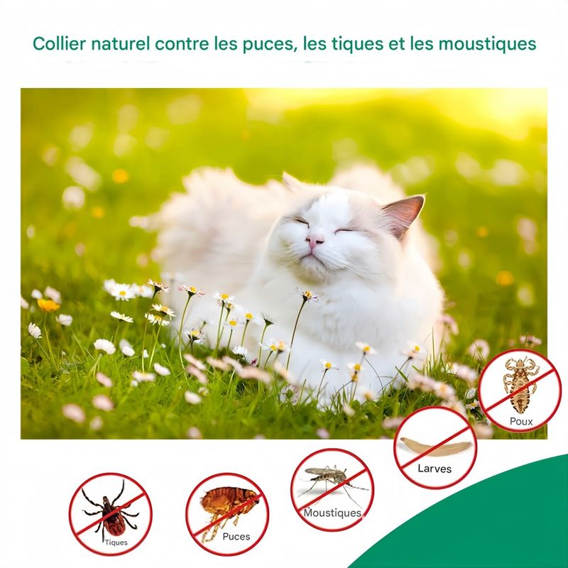 FurryFusion Spray anti-puces pour chien et chat 300ml