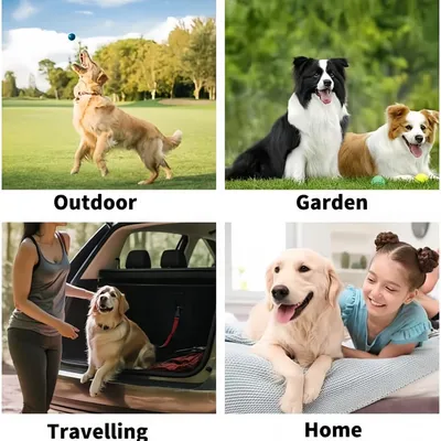 Pawzy Gants de nettoyage pour animaux de compagnie