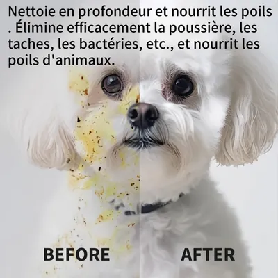 Pawzy Gants de nettoyage pour animaux de compagnie