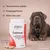 MP LABO - Cartimax MP Labo – Articulations chien chat gélules