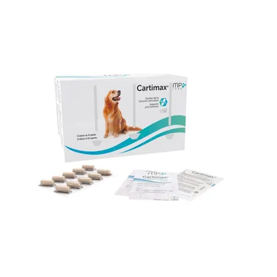 MP LABO - Cartimax MP Labo – Articulations chien chat gélules MP LABO - Cartimax MP Labo – Articulations chien chat gélules