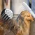 Pawzy Ensemble de brosse de bain pour animaux