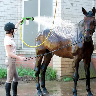 Pawzy Pistolet de douche pour animaux de compagnie