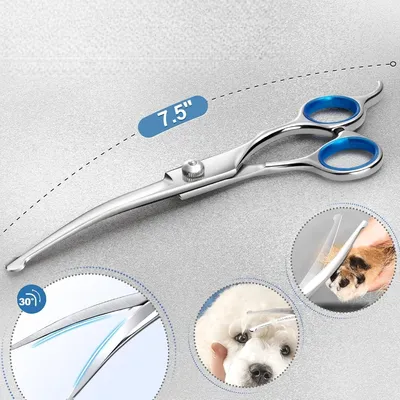 Zoomtopia Ciseaux de toilettage pour chien