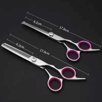 Zoomtopia Ciseaux de toilettage pour chien
