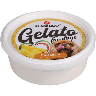 Snack Gelato 1crème glacée à l'ananas ou à la banane ou à la framboise