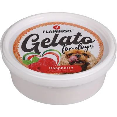 Snack Gelato 1crème glacée à l'ananas ou à la banane ou à la framboise