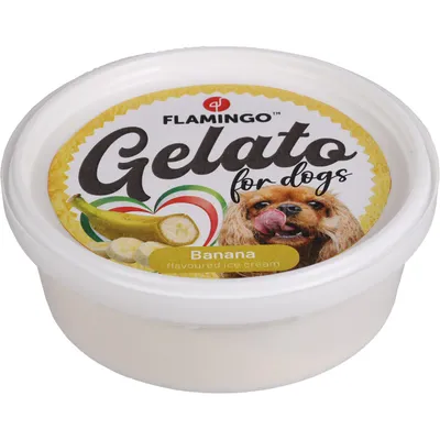 Snack Gelato 1crème glacée à l'ananas ou à la banane ou à la framboise
