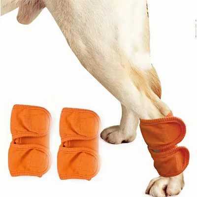 ZooVenture Protège - pattes pour chien