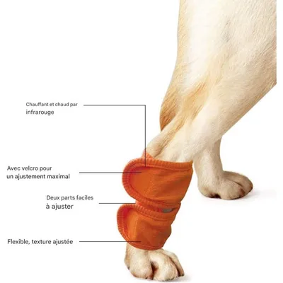 ZooVenture Protège - pattes pour chien