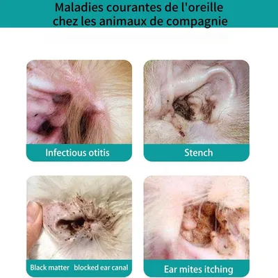Pawzy Huile nettoyante pour oreilles d'animaux avec cotons - tiges