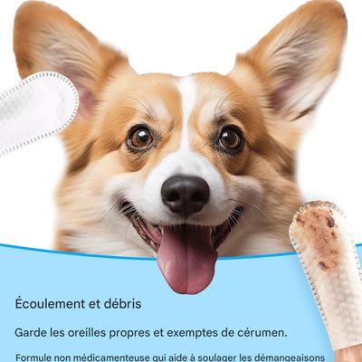 Pawzy Lingettes auriculaires pour chien