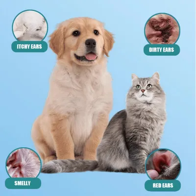 Pawzy Lingettes auriculaires pour chien