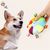 Pawzy Jouet frisbee  pour chien