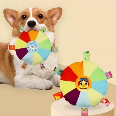 Pawzy Jouet frisbee  pour chien