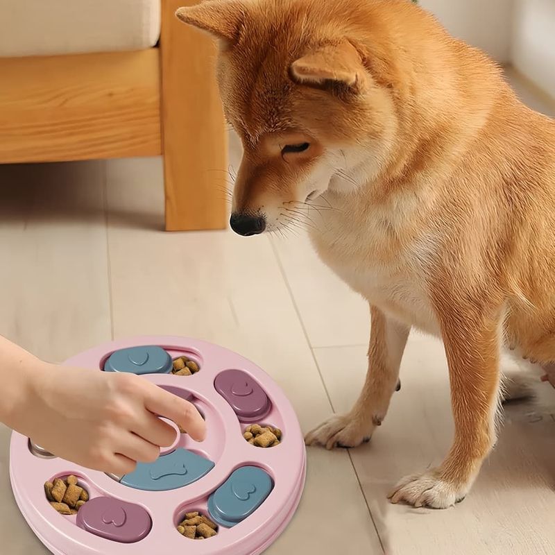 Pawzy Jouets interactifs pour chiens