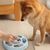 Pawzy Jouets interactifs pour chiens