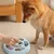 Pawzy Jouets interactifs pour chiens