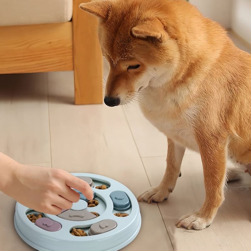 Pawzy Jouets interactifs pour chiens