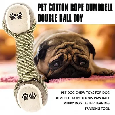 Pawzy Jouet chien dentaire - Haltère + balle nettoyante