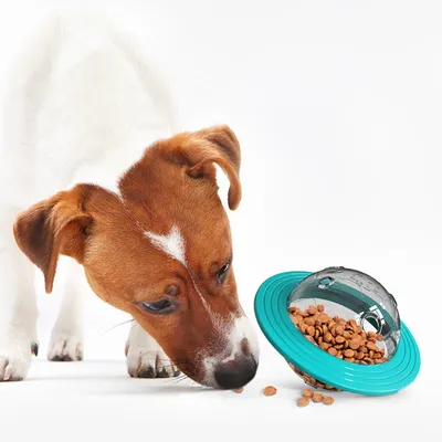 Zoomtopia Jouet interactif pour chien