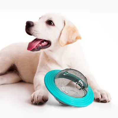 Zoomtopia Jouet interactif pour chien