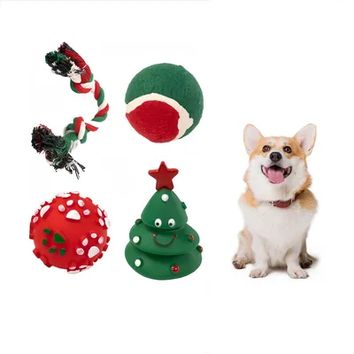 Pawzy Coffret de jouets de Noël pour chiens
