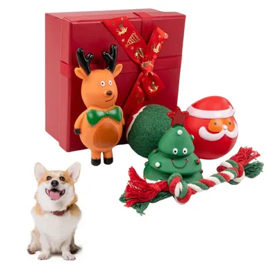 Pawzy Coffret de jouets de Noël pour chiens