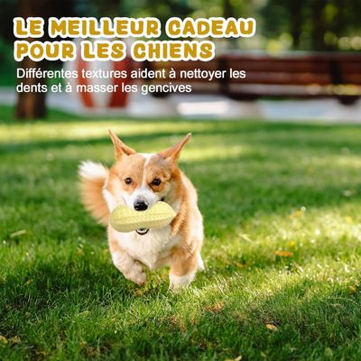 Pawzy Jouets couineurs pour chiens