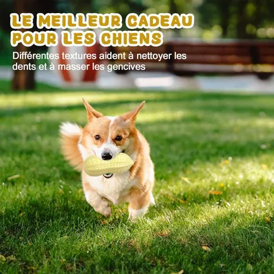 Pawzy Jouets couineurs pour chiens