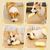 Pawzy Jouets couineurs pour chiens