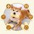 Pawzy Jouets couineurs pour chiens