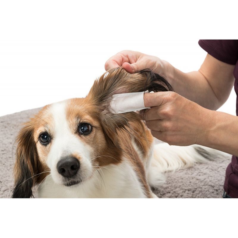Trixie - Doigtiers de soin pour les oreilles pour animaux 50 pieces