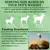 FurryFusion Poudre pour nettoyer les dents des animaux de compagnie