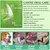 FurryFusion Poudre pour nettoyer les dents des animaux de compagnie