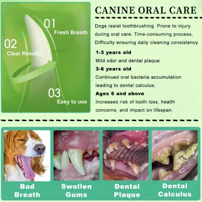 FurryFusion Poudre pour nettoyer les dents des animaux de compagnie