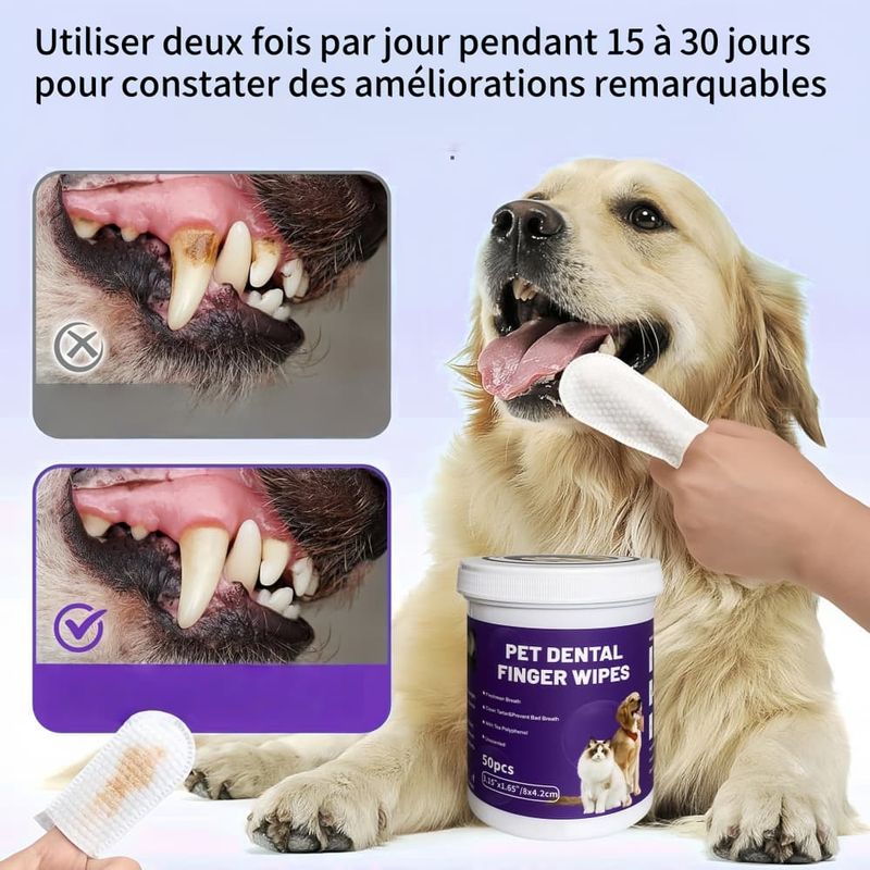 Pawzy Lingettes dentaires pour animaux