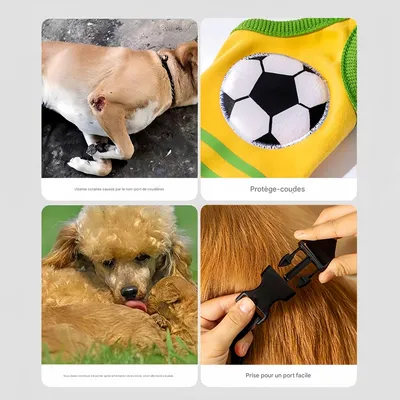 FurryFusion Protections de jambes pour grands chiens