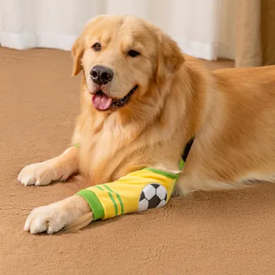 FurryFusion Protections de jambes pour grands chiens