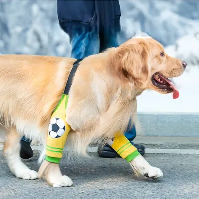 FurryFusion Protectores de patas para perros grandes