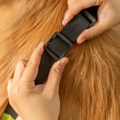 FurryFusion Protections de jambes pour grands chiens